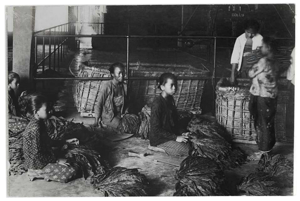 Unknown photographer. 'Women sort tobacco leaves by length in a shed at the Tegalsirondo (also Tegalgondo) enterprise near Oengaran south of Semarang' c. 1910 from the exhibition 'Hidden Connections' at the Van Abbemuseum, Eindhoven, Holland, April 2024 - June 2026 Unknown photographer. 'Women sort tobacco leaves by length in a shed at the Tegalsirondo (also Tegalgondo) enterprise near Oengaran south of Semarang' c. 1910 from the exhibition 'Hidden Connections' at the Van Abbemuseum, Eindhoven, Holland, April 2024 - June 2026