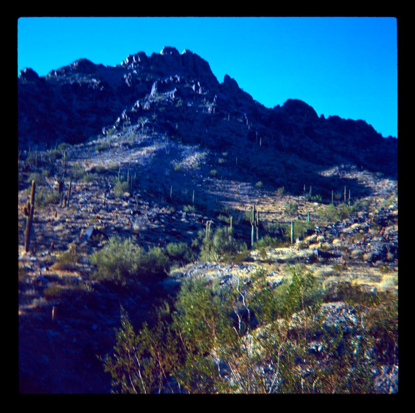Unknown photographer (Australian) 'Untitled [Desert scene, California?]' 1960s