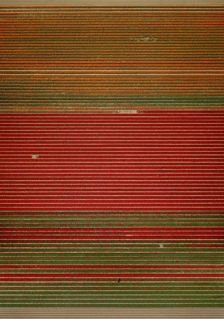 Andreas Gursky (German, b. 1955) 'Untitled XVIII' 2015 Andreas Gursky (German, b. 1955) 'Untitled XVIII' 2015