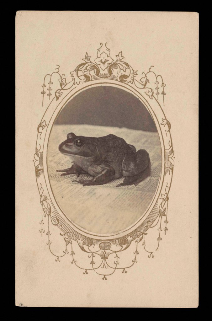 Albert Cone Townsend (American, 1827-1914) 'A Politician' 1865-1867