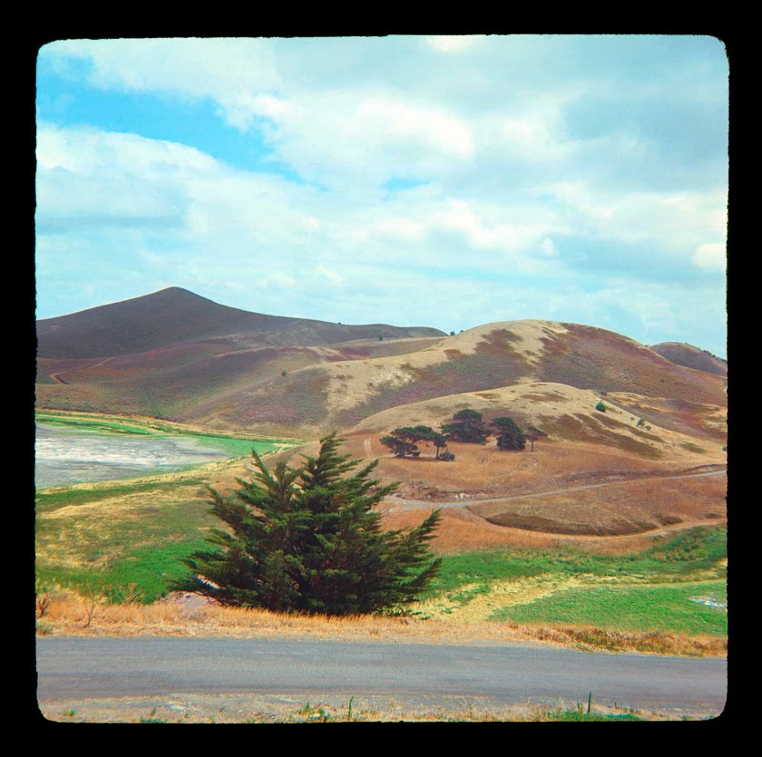 Unknown photographer (Australian) 'Untitled (Australian landscape)' 1960s