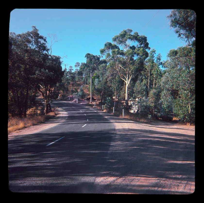 Unknown photographer (Australian) 'Untitled (Australian landscape)' 1960