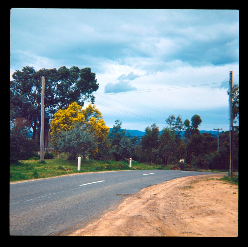 Unknown photographer (Australian) 'Untitled (Australian landscape)' 1960