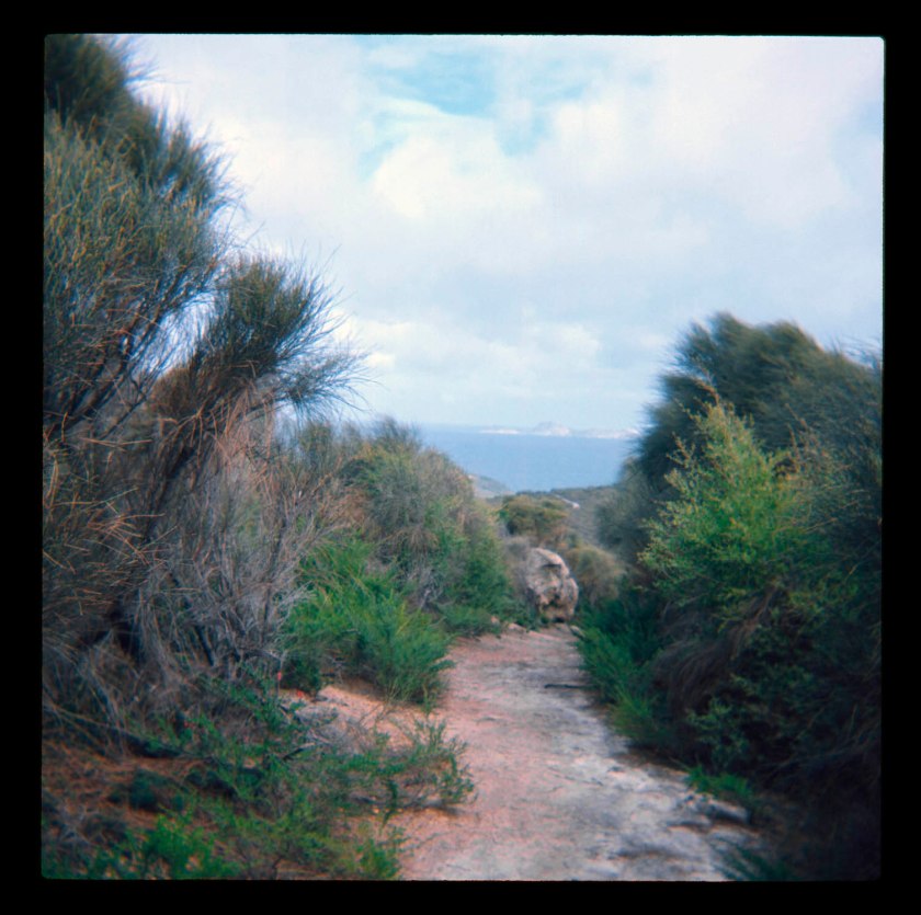 Unknown photographer (Australian) 'Untitled (Australian landscape, possibly South Point, Wilson's Prom, Victoria)'
1960s