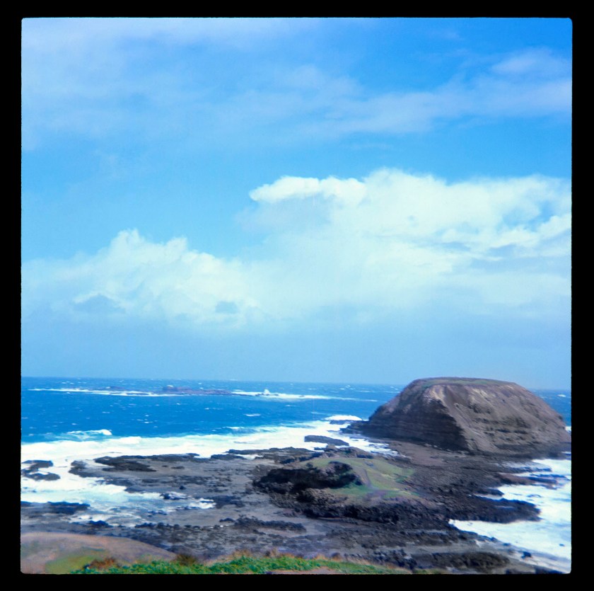 Unknown photographer (Australian) 'The Nobbies, Phillip Island, Victoria, Australia' 1960s