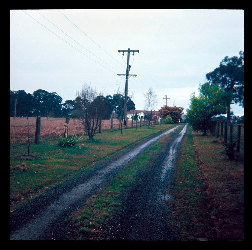 Unknown photographer (Australian) 'Untitled (Australian landscape)' 1960