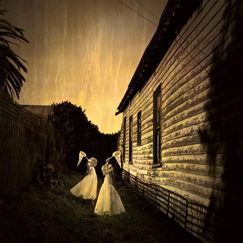 Jane Burton (Australian, b. 1966) 'Ivy #5' 2009