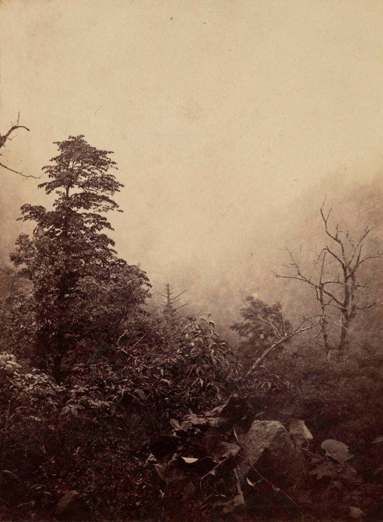 John Moran (American born England, 1821-1903) 'Showing Weather Among the Alleghenies' 1861-1862