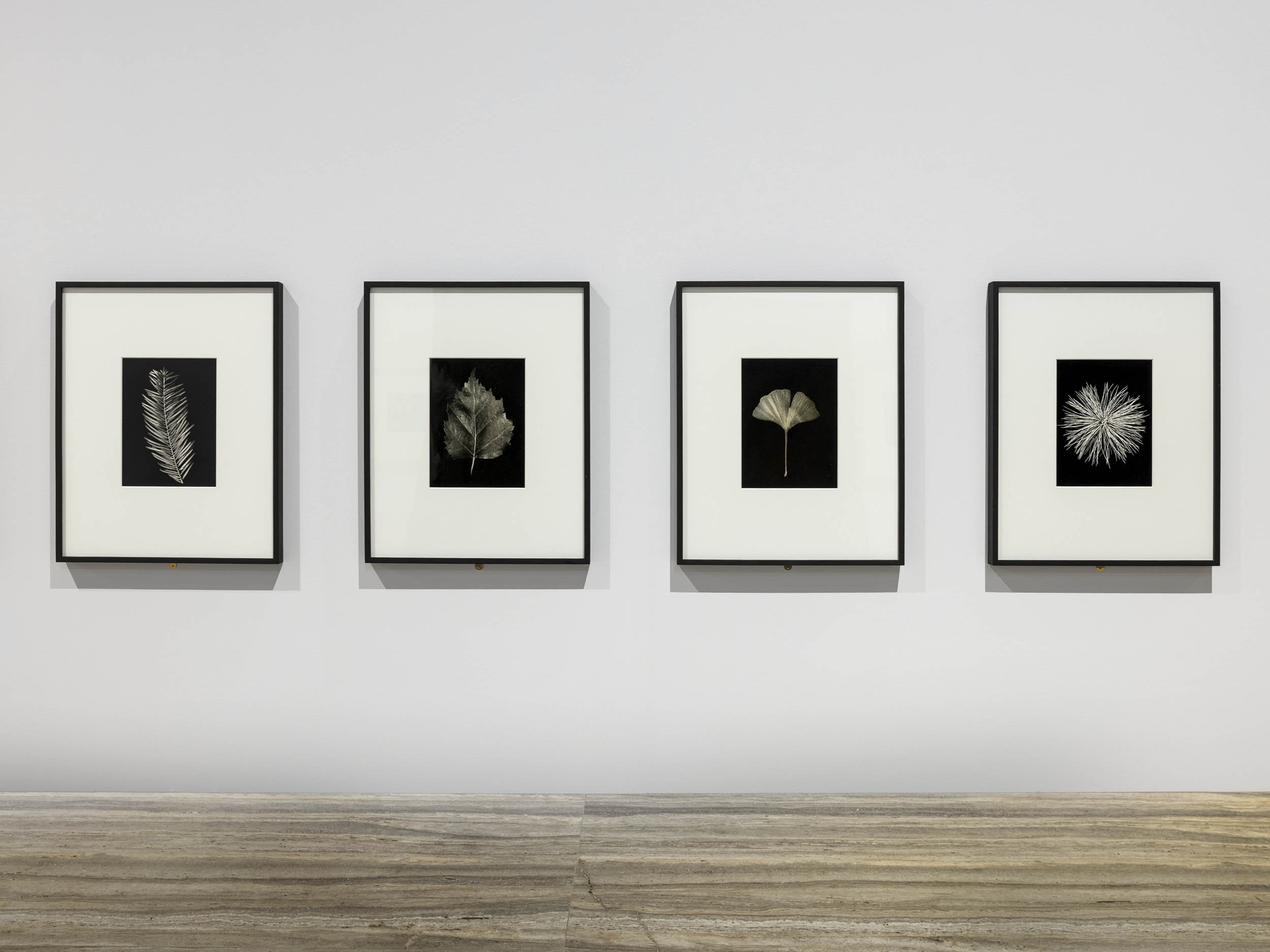 Installation view of the exhibition 'Typologien: Photography in 20th-century Germany' at Fondazione Prada, Milan showing the work of Hiller Becher Installation view of the exhibition 'Typologien: Photography in 20th-century Germany' at Fondazione Prada, Milan showing the work of Hiller Becher