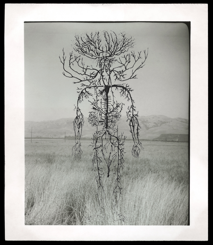 Marcus Bunyan (Australian, b. 1958) 'Untitled' from the series 'The Shape of Dreams' 2009