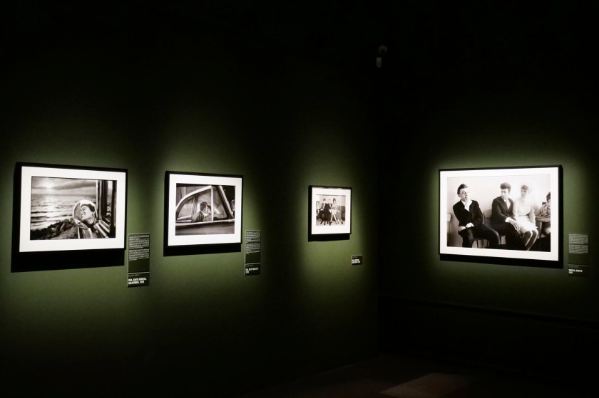 Installation view of the exhibition 'Elliott Erwitt. Icons' at Palazzo Bonaparte, Rome, Italy