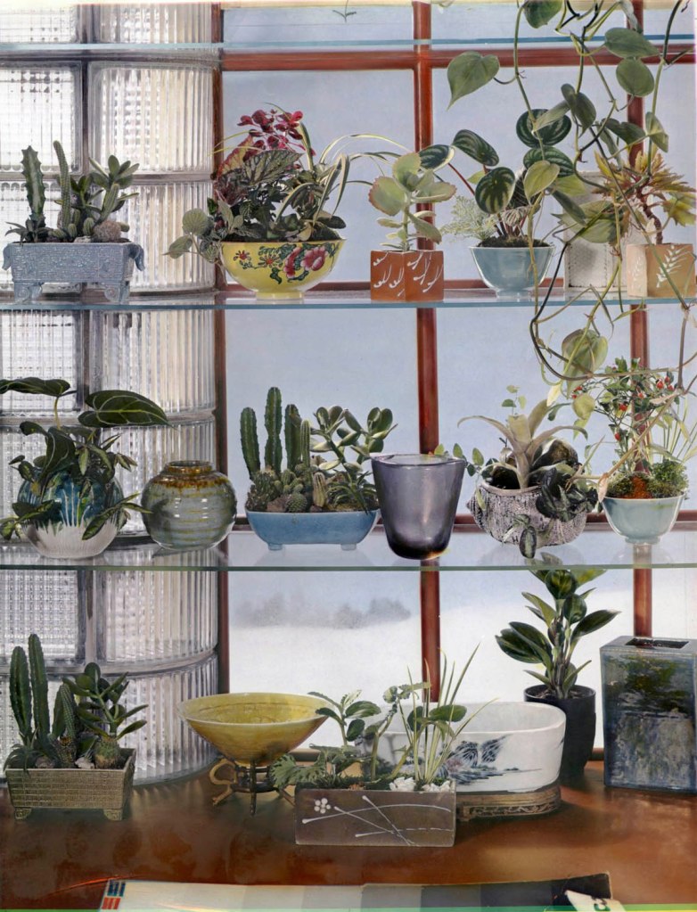 Paul Outerbridge Jr. (American, 1896-1959) 'Window with Plants' 1937