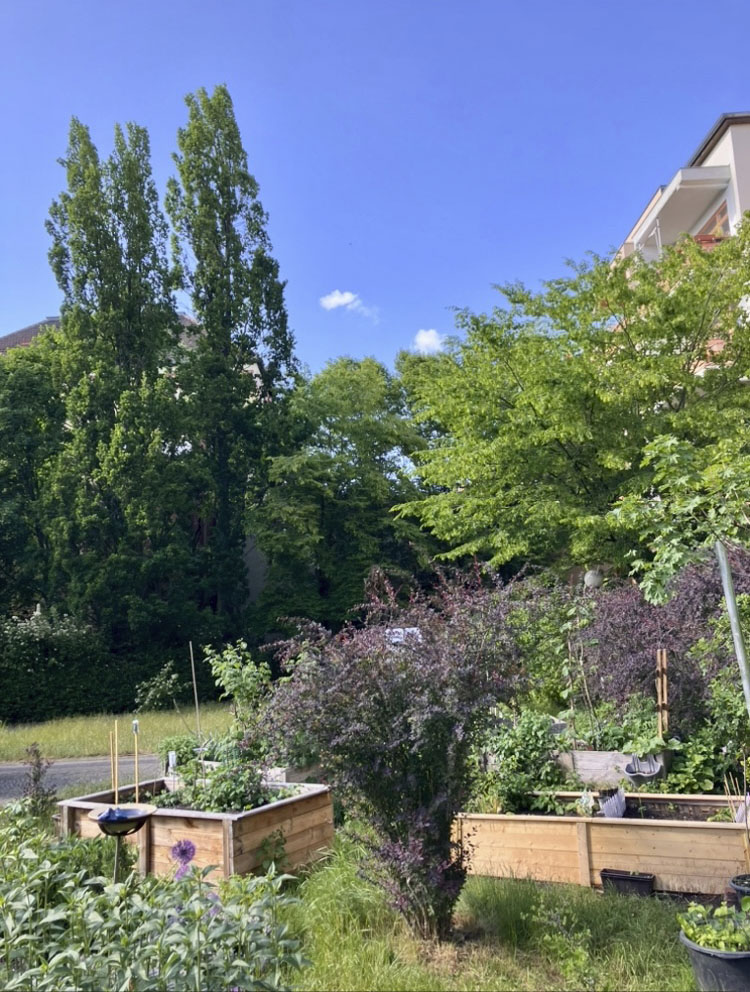 Andrea Steiner. 'Doch die Toscana?' (But Tuscany?) 2025 Andrea Steiner. 'Doch die Toscana?' (But Tuscany?) 2025