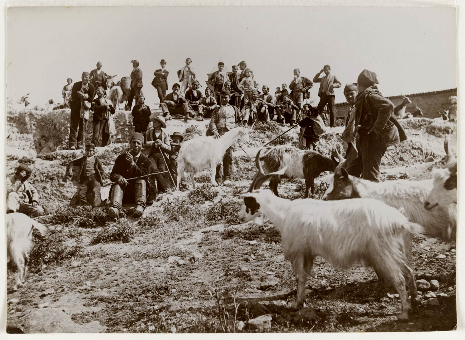 Gabrielle Hébert (French born Germany, 1853-1934) 'Paysans avec leurs chèvres, Sicile, mai 1893' (Peasants with their goats, Sicily, May 1893) 1893 Gabrielle Hébert (French born Germany, 1853-1934) 'Paysans avec leurs chèvres, Sicile, mai 1893' (Peasants with their goats, Sicily, May 1893) 1893