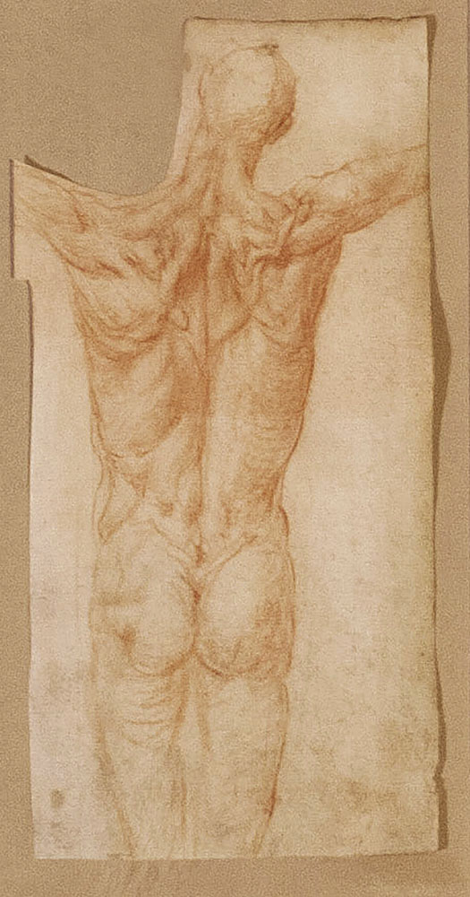 Jacopo Pontormo (Italian, 1494-1557) 'Study of a Male' 1528-1530