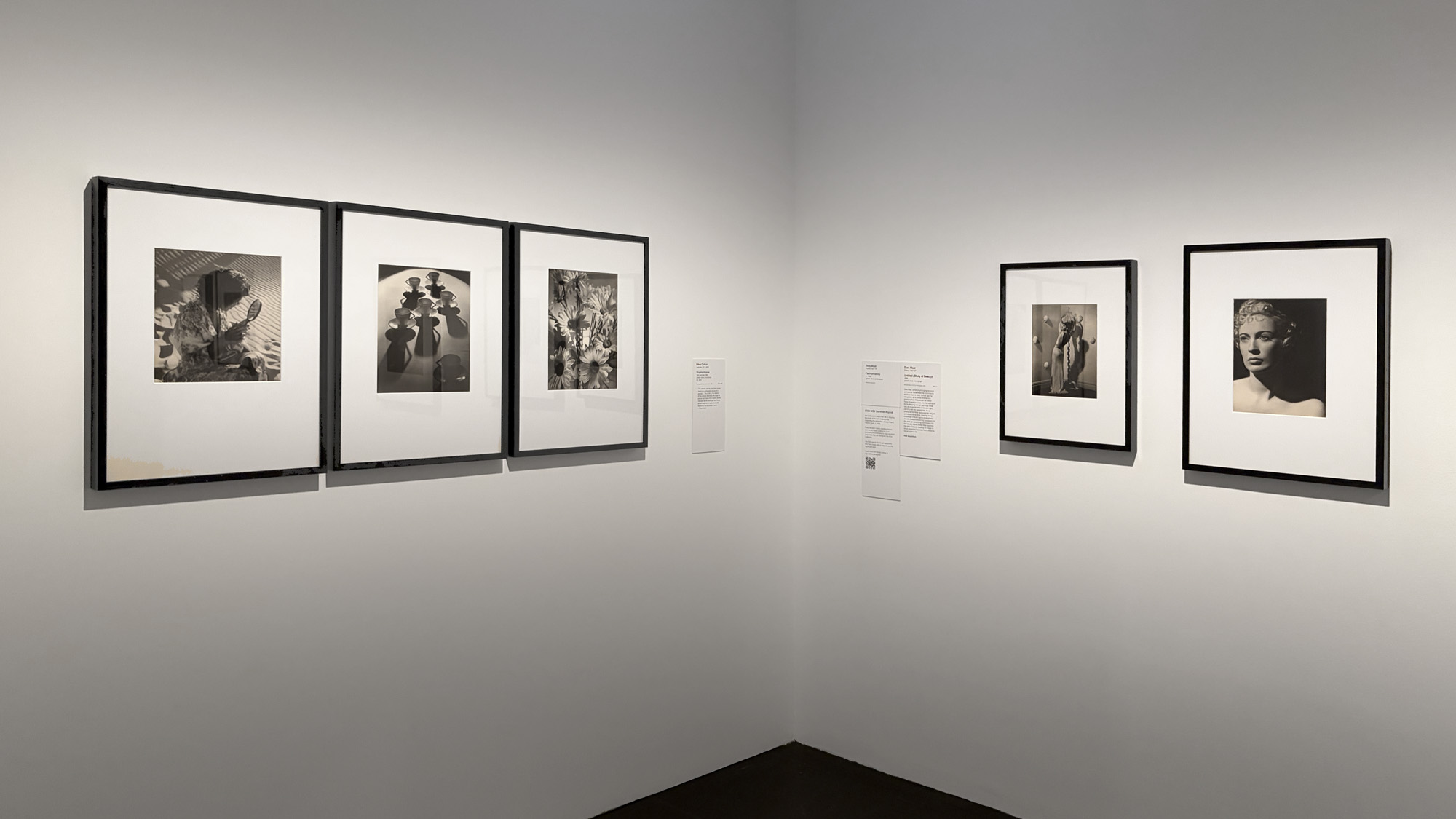Installation view of the exhibition 'Women Photographers 1900-1975: A Legacy of Light' at NGV International, Melbourne, November 2025 - May 2026
