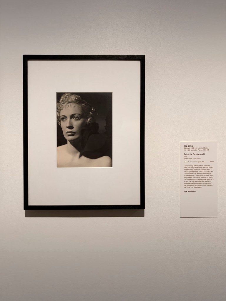 Dora Maar (French 1907-1997) 'Untitled (Study of beauty)' 1936 (installation view) Dora Maar (French 1907-1997) 'Untitled (Study of beauty)' 1936 (installation view)