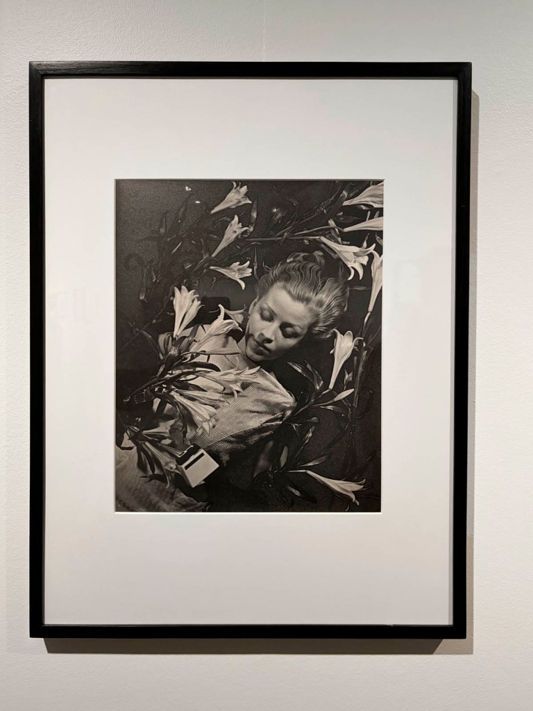 Ilse Bing (German, 1899-1998) Salut de Schiaparelli 1934 (installation view) Ilse Bing (German, 1899-1998) Salut de Schiaparelli 1934 (installation view)