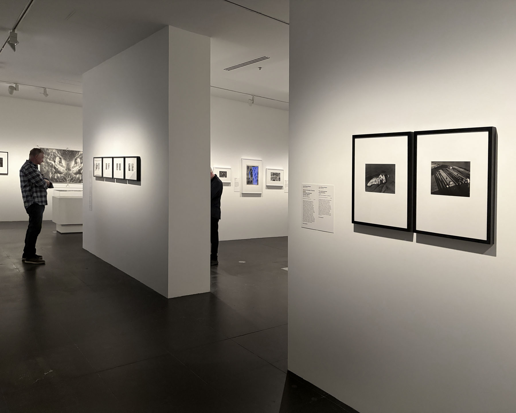 Installation view of the exhibition 'Women Photographers 1900-1975: A Legacy of Light' at NGV International, Melbourne, November 2025 - May 2026 showing two photographs by Lola Álvarez Bravo (Mexican, 1903-1993) with at second right, 'Tribute to Salvador Toscano' (1949, printed 1960s) New acquisition; and at right, 'The washerwomen' (Las Lavanderas) (c. 1950, below) New acquisition Installation view of the exhibition 'Women Photographers 1900-1975: A Legacy of Light' at NGV International, Melbourne, November 2025 - May 2026 showing two photographs by Lola Álvarez Bravo (Mexican, 1903-1993) with at second right, 'Tribute to Salvador Toscano' (1949, printed 1960s) New acquisition; and at right, 'The washerwomen' (Las Lavanderas) (c. 1950, below) New acquisition