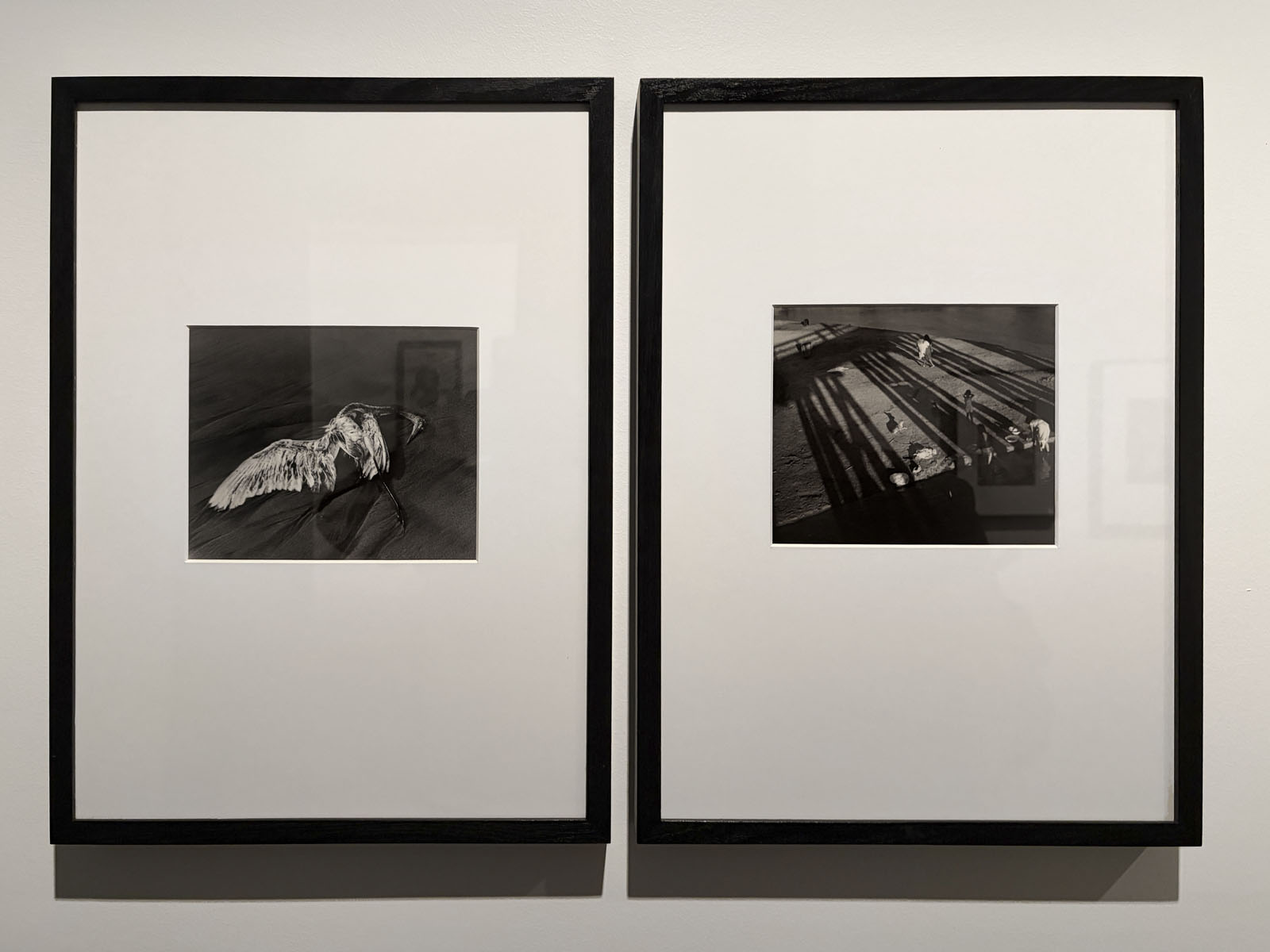 Installation view of the exhibition 'Women Photographers 1900-1975: A Legacy of Light' at NGV International, Melbourne, November 2025 - May 2026 showing at left, Lola Álvarez Bravo 'Tribute to Salvador Toscano' (1949, printed 1960s) New acquisition; and at right, Lola Álvarez Bravo 'The washerwomen' (Las Lavanderas) (c. 1950, below) New acquisition Installation view of the exhibition 'Women Photographers 1900-1975: A Legacy of Light' at NGV International, Melbourne, November 2025 - May 2026 showing at left, Lola Álvarez Bravo 'Tribute to Salvador Toscano' (1949, printed 1960s) New acquisition; and at right, Lola Álvarez Bravo 'The washerwomen' (Las Lavanderas) (c. 1950, below) New acquisition