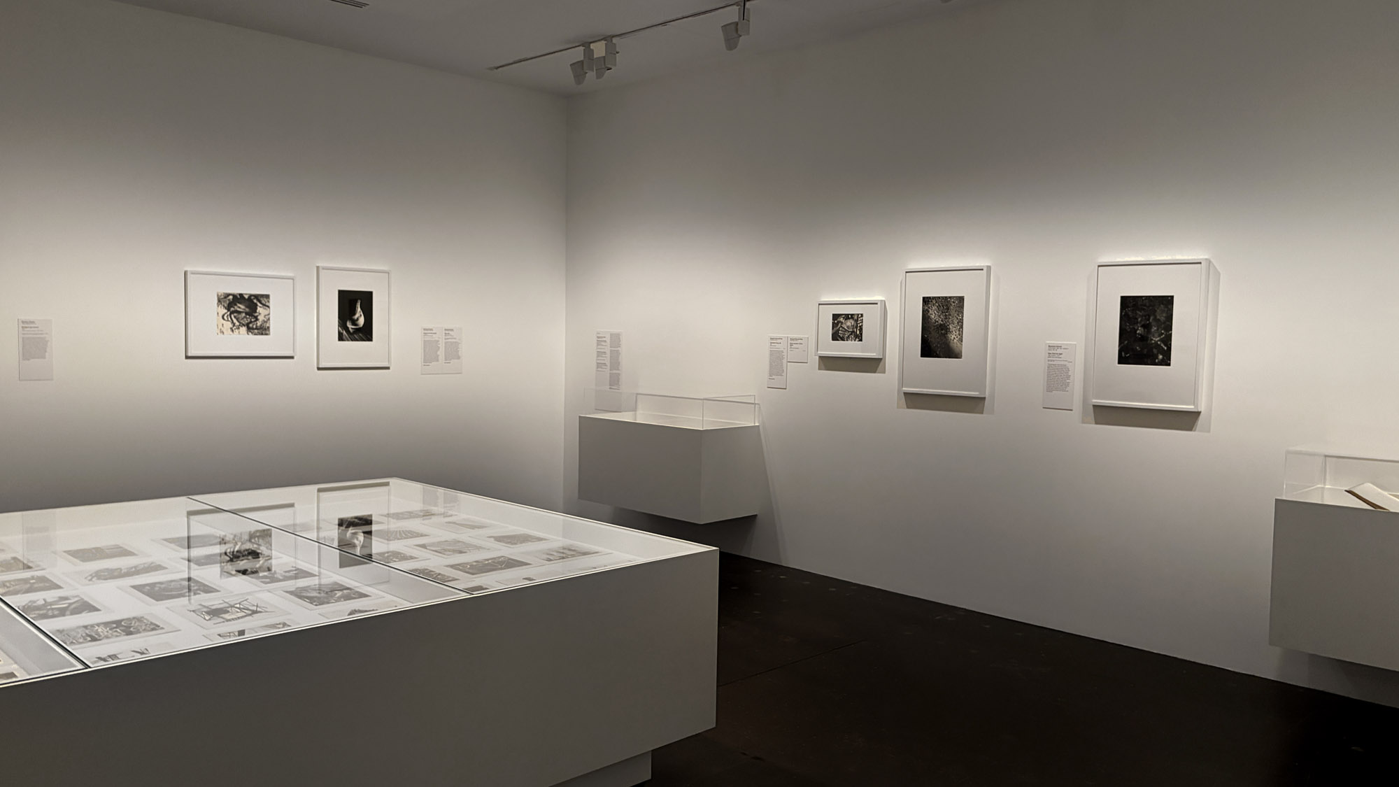 Installation view of the exhibition 'Women Photographers 1900-1975: A Legacy of Light' at NGV International, Melbourne, November 2025 - May 2026 Installation view of the exhibition 'Women Photographers 1900-1975: A Legacy of Light' at NGV International, Melbourne, November 2025 - May 2026