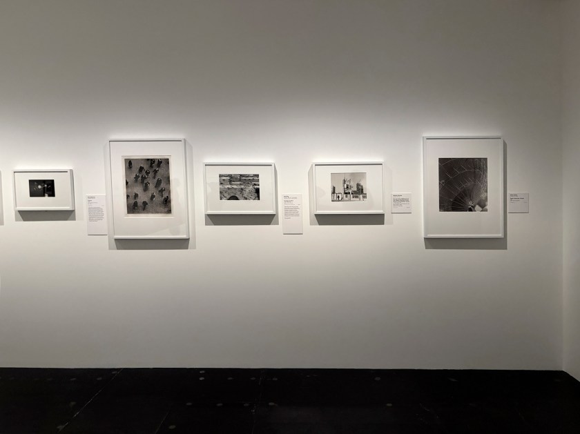 Installation view of the exhibition 'Women Photographers 1900-1975: A Legacy of Light' at NGV International, Melbourne, November 2025 - May 2026