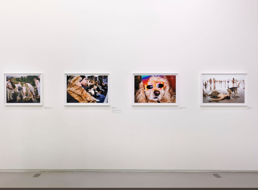 Installation view of the exhibition 'Martin Parr: Global Warning' at Jeu de Paume, Paris, January - May, 2026