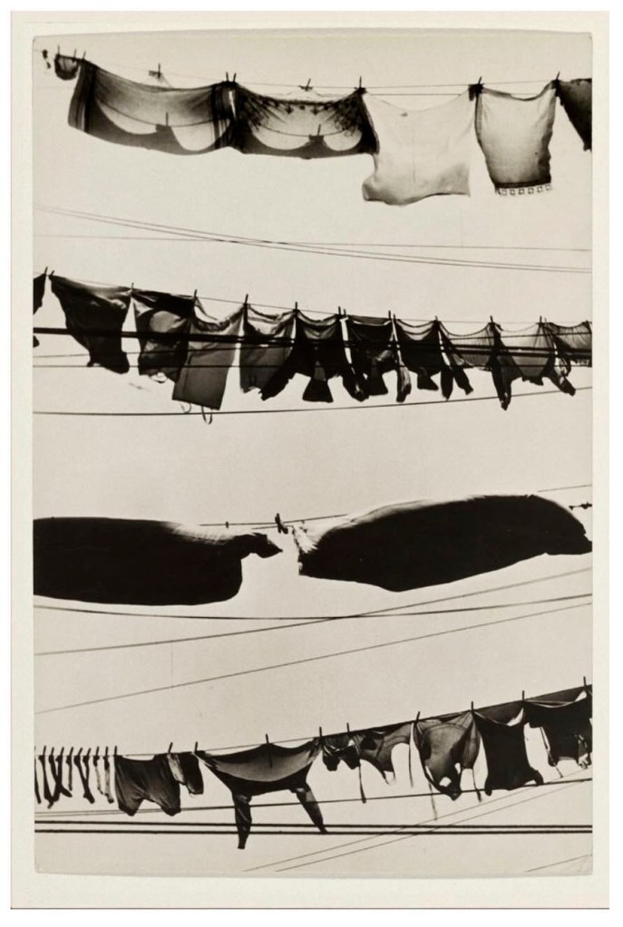 Walker Evans (American, 1903-1975) 'Washday, New York City' 1930