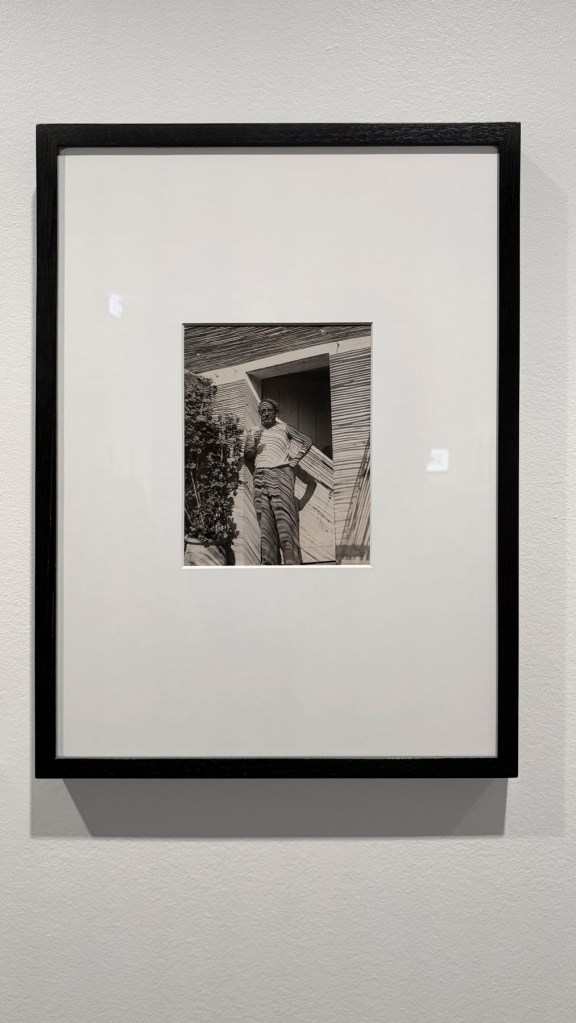 Dora Maar (French 1907-1997) 'Pablo Picasso standing under reed screening, Mougins, summer, 1937' (Pablo Picasso debout sous les cannisses, Mougins, été, 1937) 1937 (installation view)