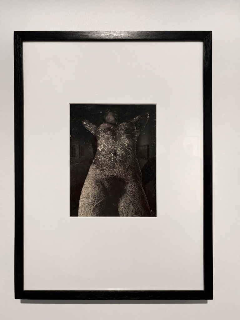 Sue Ford (Australian, 1943-2009) 'No title (Nude montage)' 1960s (installation view)