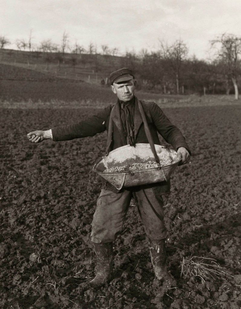 August Sander (German, 1876-1964) 'Farmer Sowing' 1952, printed c. 1990-1999