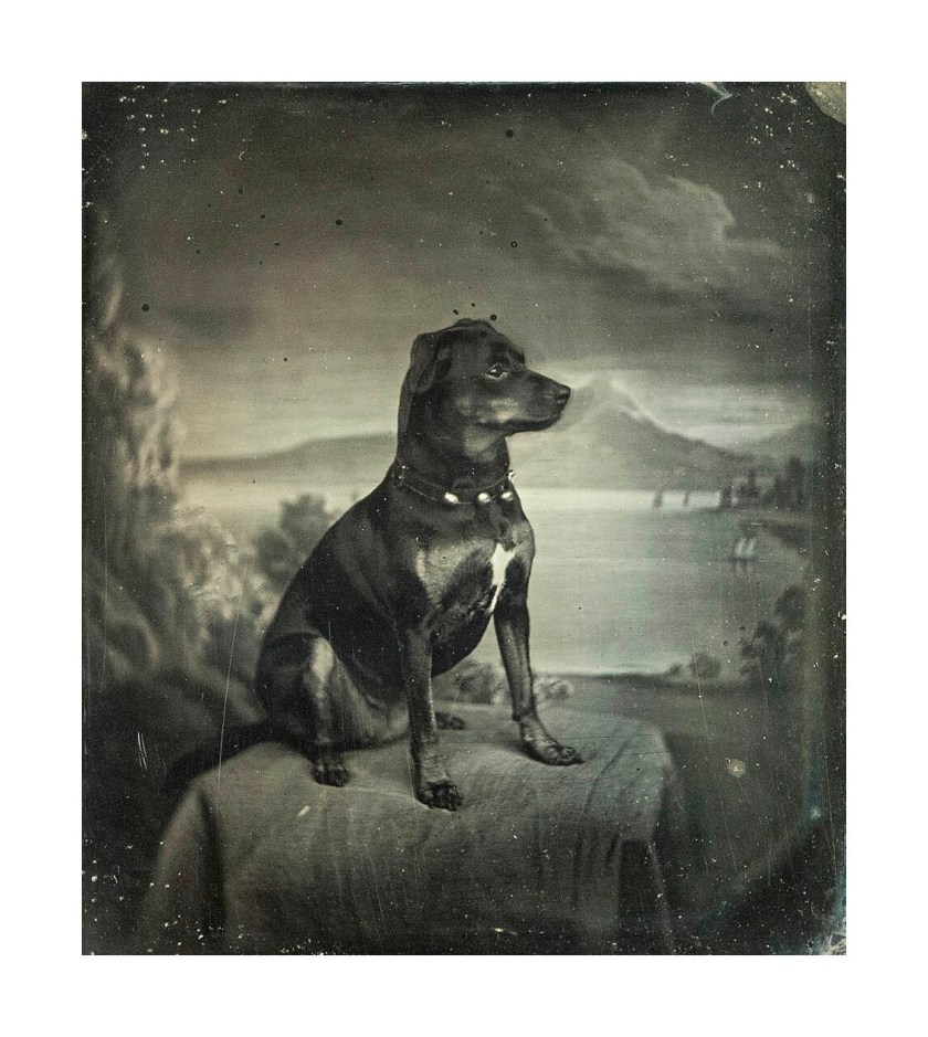 Carl Ferdinand Stelzner (German, 1805-1894) 'Ulla, the dog in the Stelzner household' 1850-1865