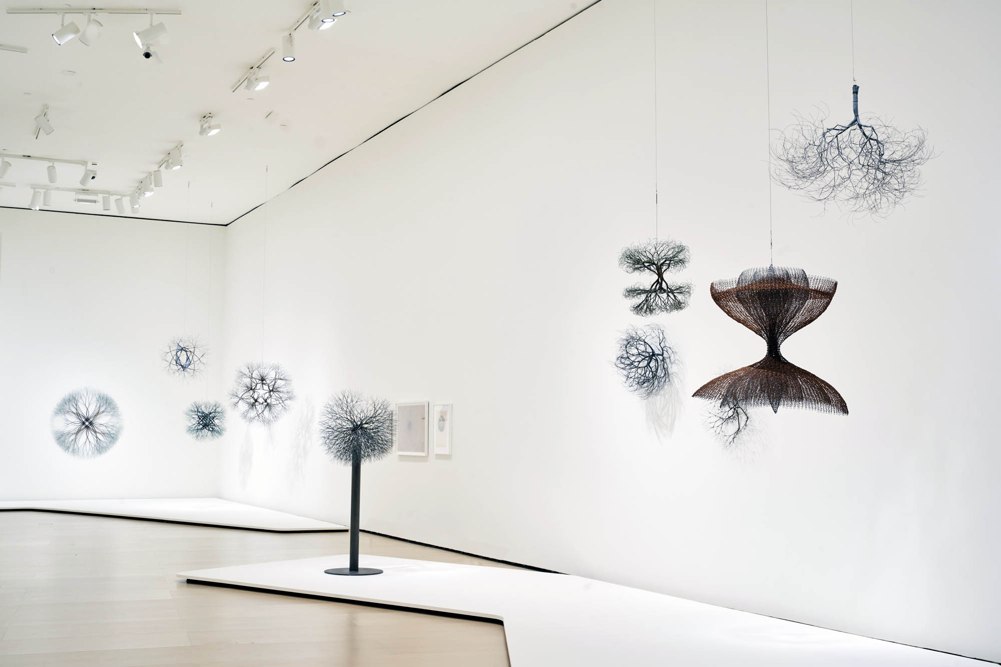 Installation view of the exhibition 'Ruth Asawa: Retrospective' at the Guggenheim Museum Bilbao, March - September, 2026 Installation view of the exhibition 'Ruth Asawa: Retrospective' at the Guggenheim Museum Bilbao, March - September, 2026