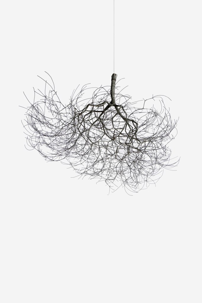Ruth Asawa (American, 1926-2013) 'Untitled' (S.184, Hanging Tied-Wire, Single-Stem, Multi-Branched Form Based on Nature) c. 1962 Ruth Asawa (American, 1926-2013) 'Untitled' (S.184, Hanging Tied-Wire, Single-Stem, Multi-Branched Form Based on Nature) c. 1962