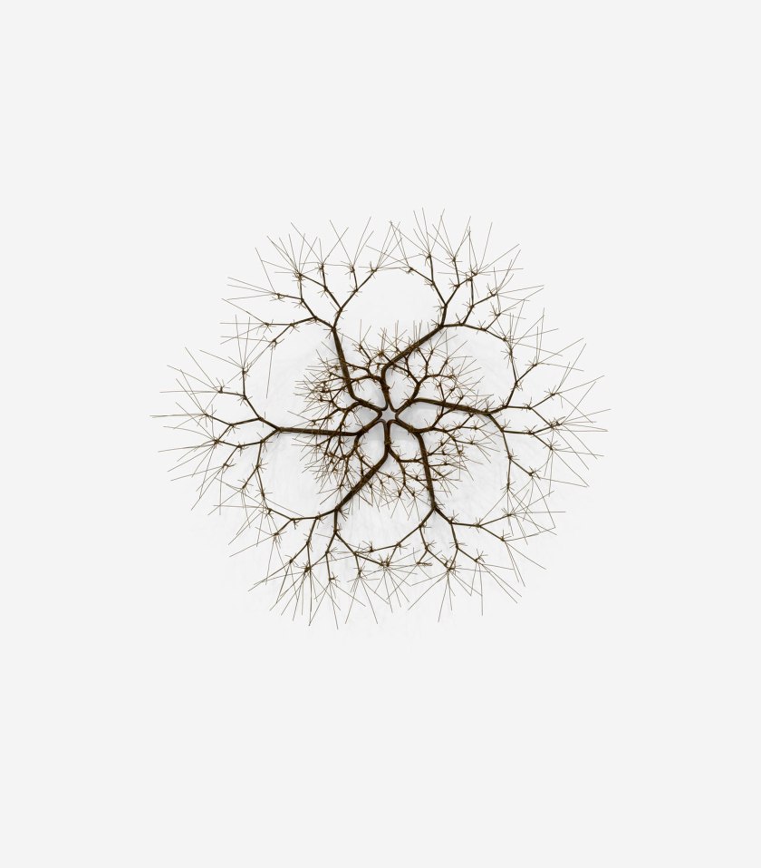 Ruth Asawa (American, 1926-2013) 'Untitled' (S.451, Wall-Mounted Tied-Wire, Open-Center, Six-Branched Form Based on Nature) c. 1965 Ruth Asawa (American, 1926-2013) 'Untitled' (S.451, Wall-Mounted Tied-Wire, Open-Center, Six-Branched Form Based on Nature) c. 1965