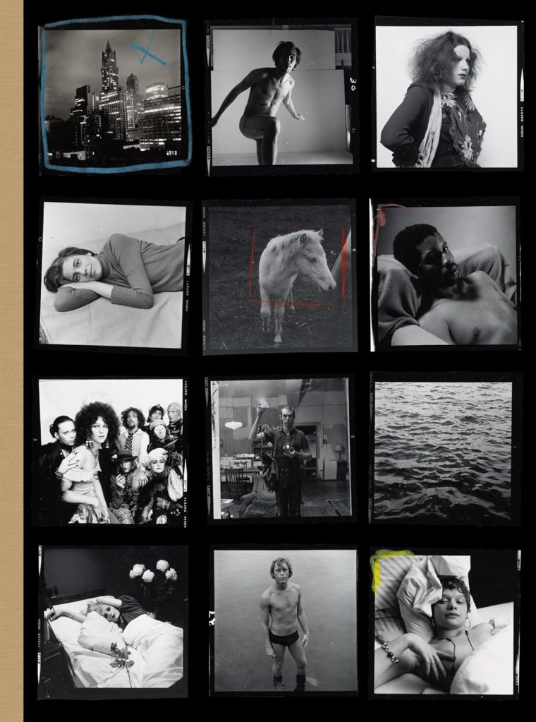 'Hujar:Contact' book cover
