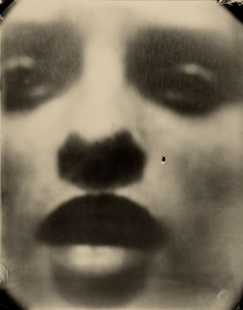Sally Mann (American, b. 1951) 'Virginia #9' 2004